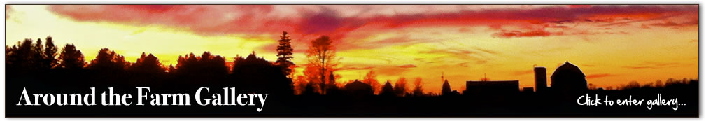 Around the Farm Gallery - click to enter...