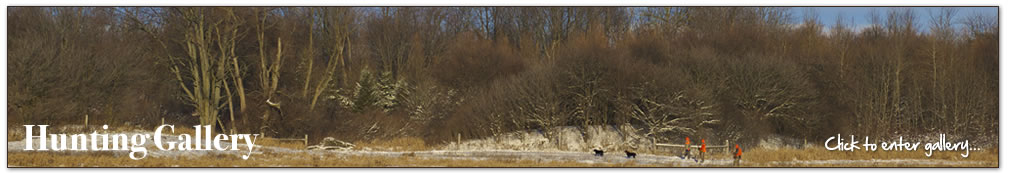Around the Farm Gallery - click to enter...